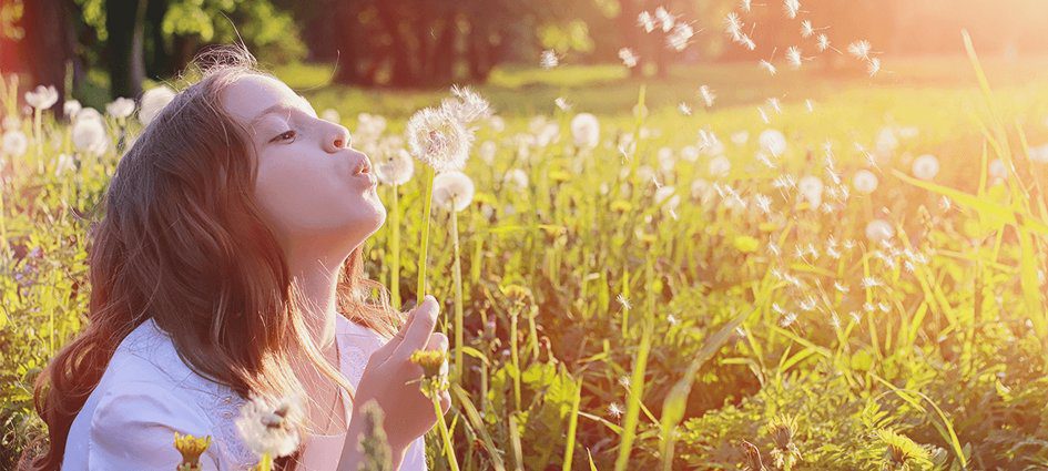 tips to beat allergies