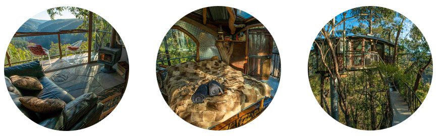 Secret Tree House