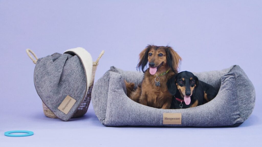two dogs in a sleepeezee dog bed with a Sleepeezee blanket