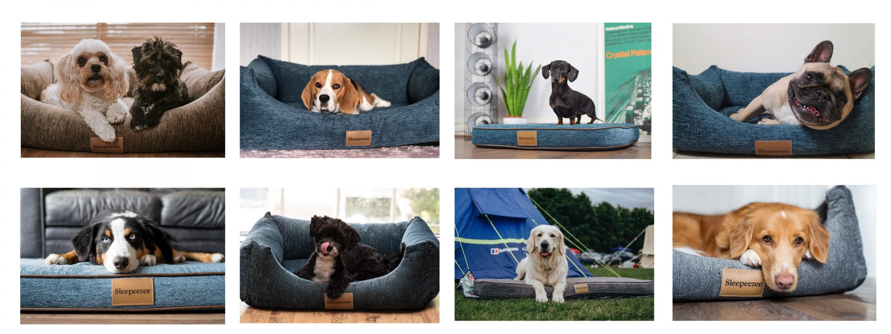 Instapet Moments
