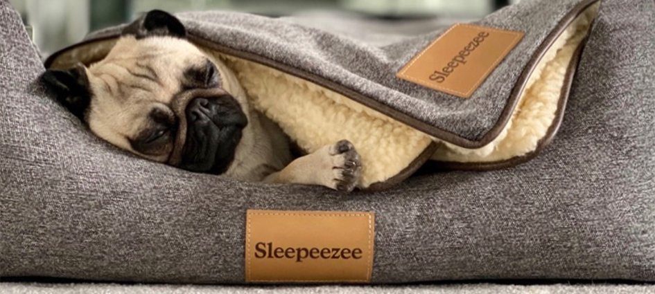 Sleepeezee pewter dog bed with a dog lying in it and Sleepeezee blanket