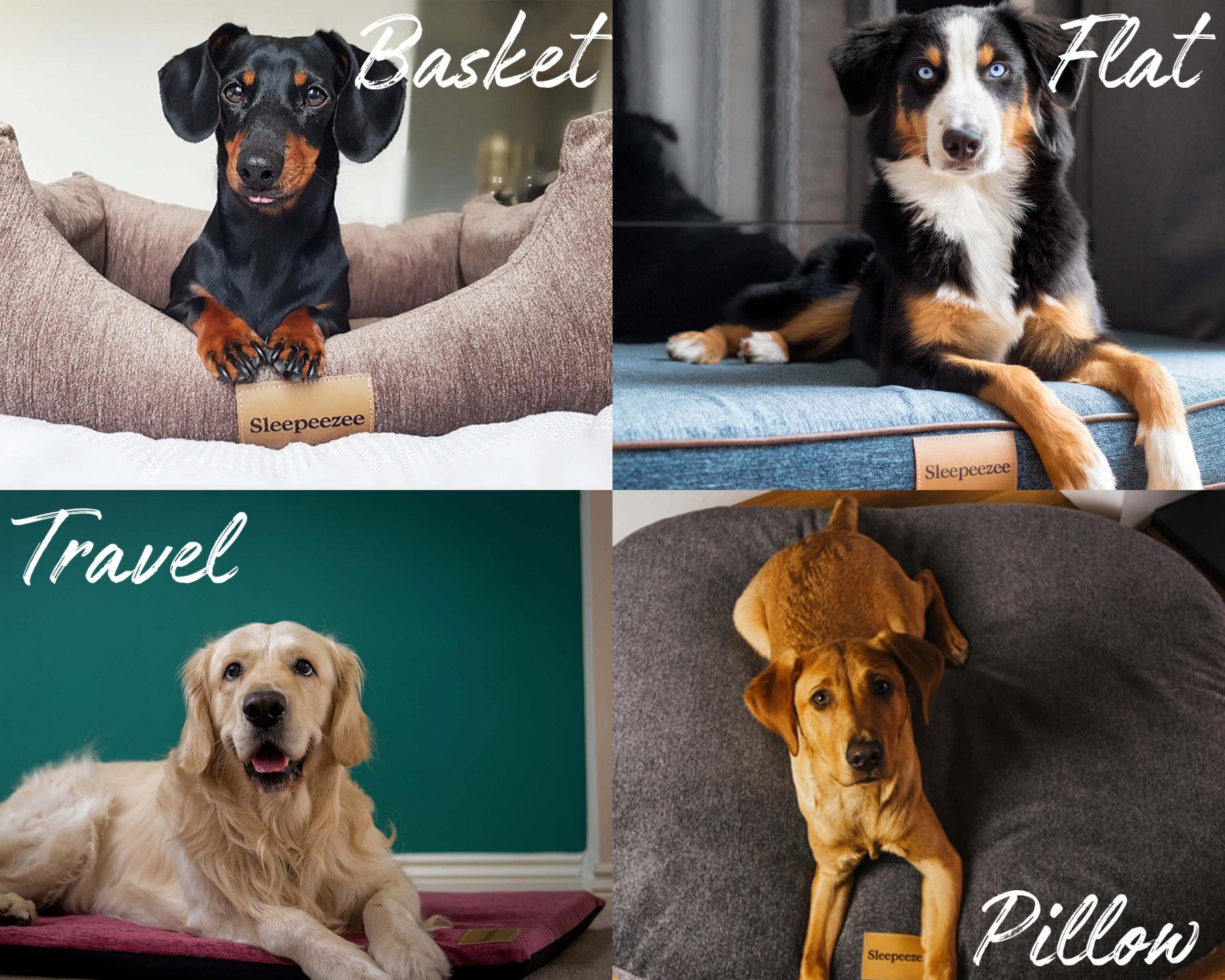 The Perfect Dog Bed