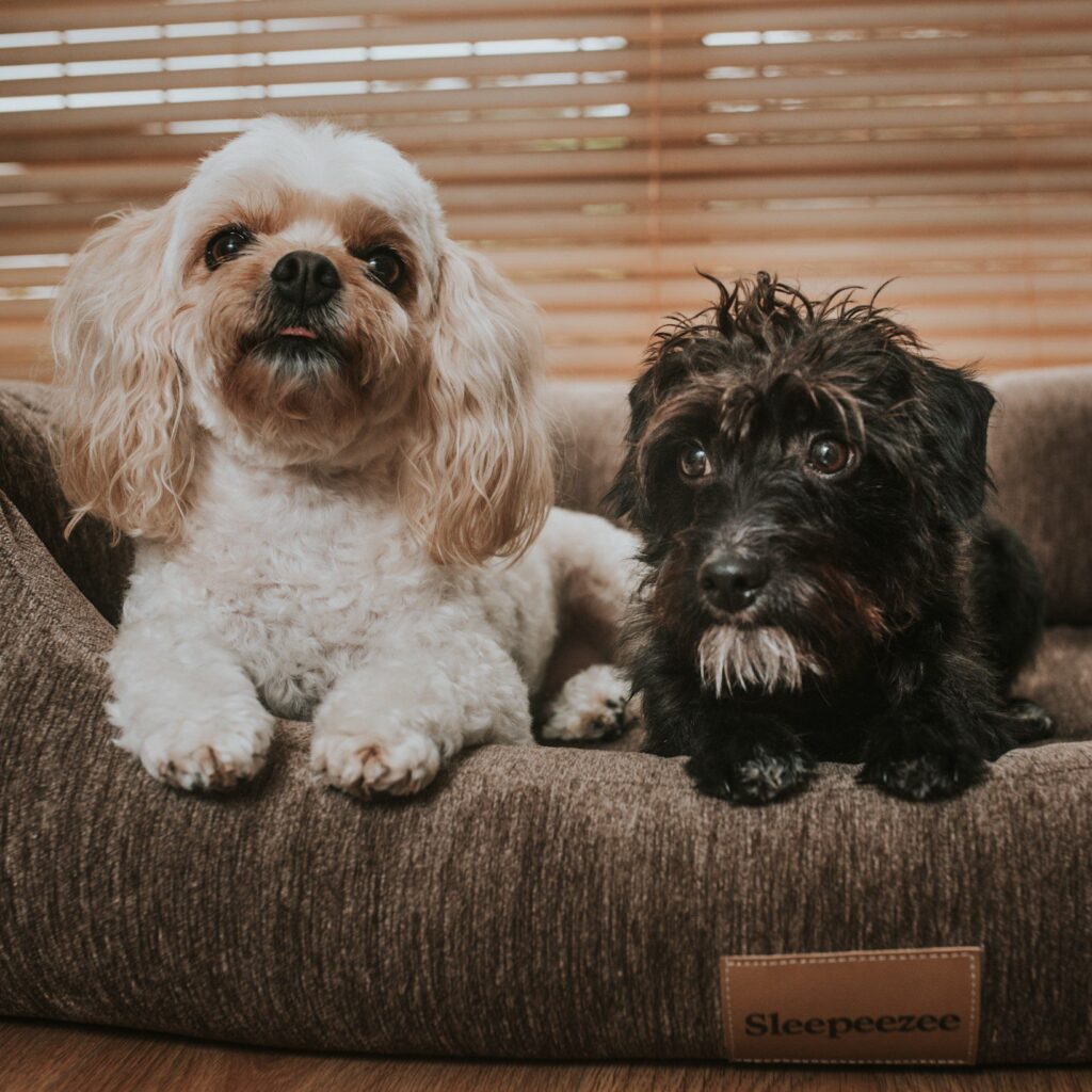 Basket Bed