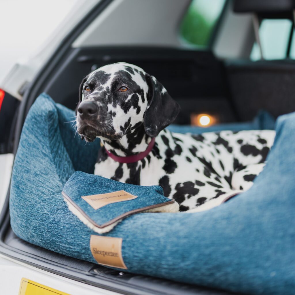 Basket Bed