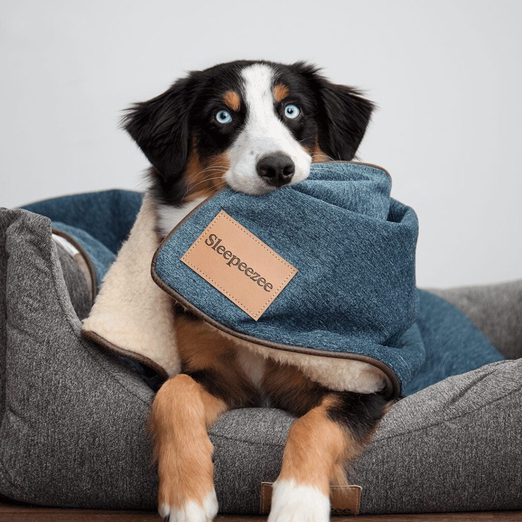 Basket Bed