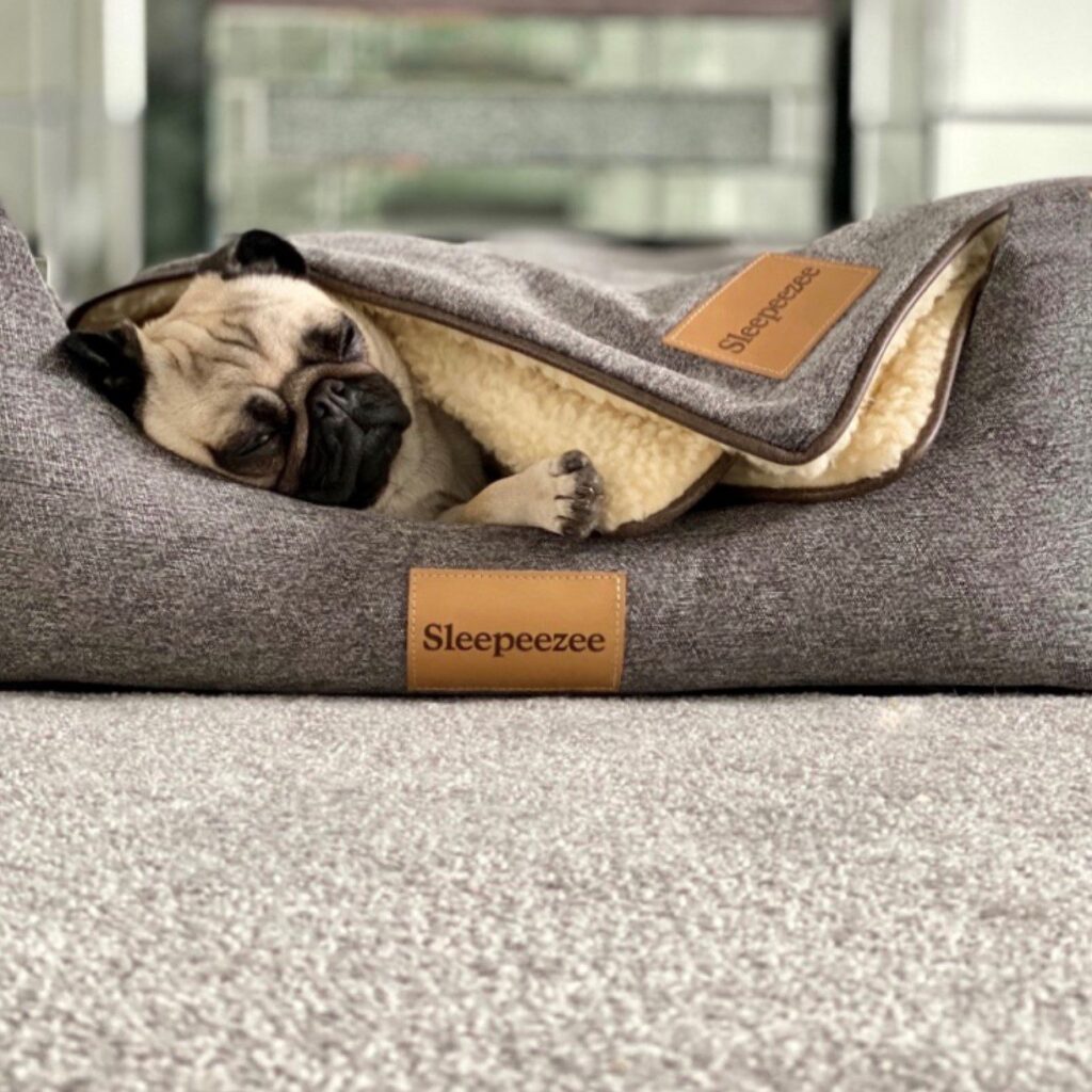 Basket Bed