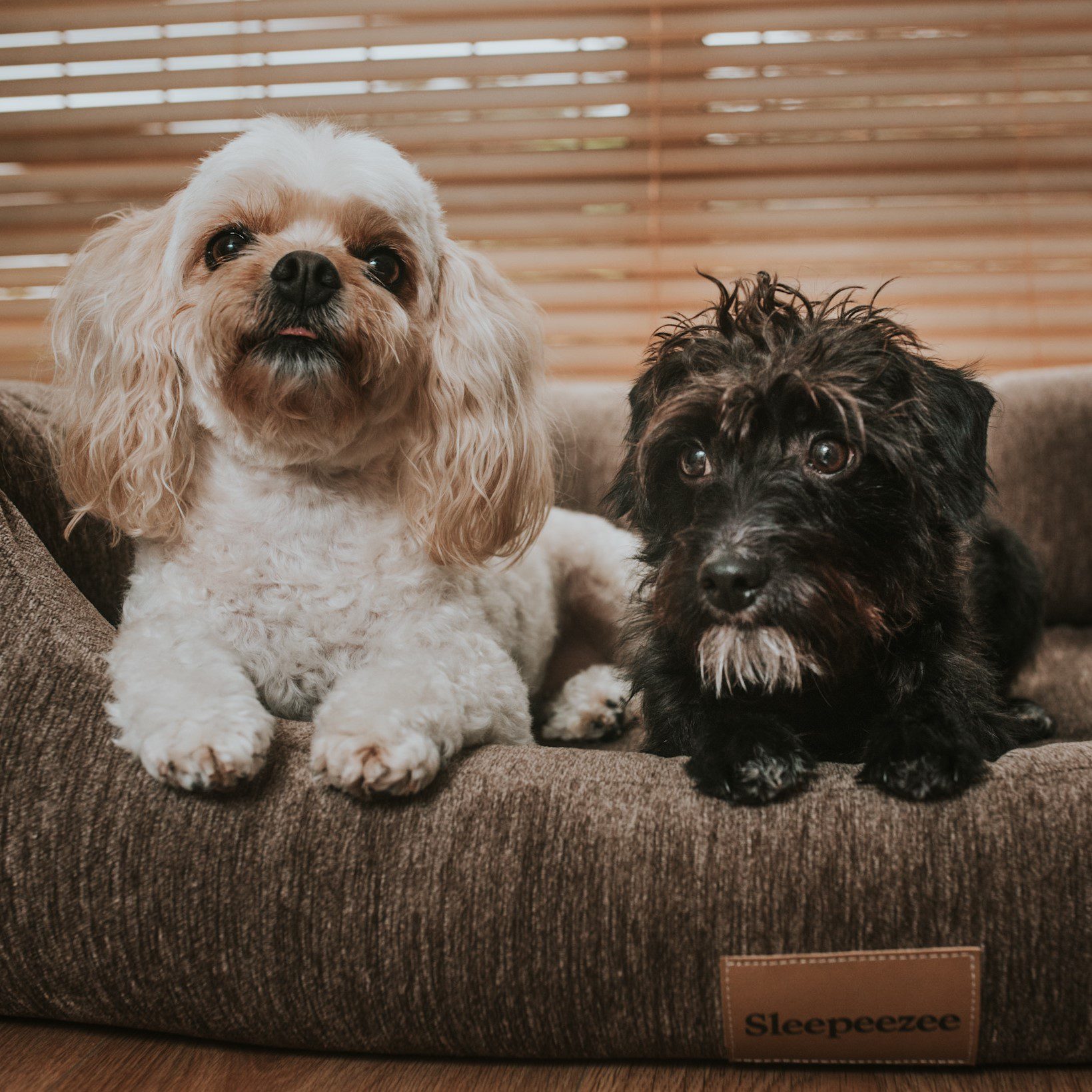 Basket Bed - Image 3