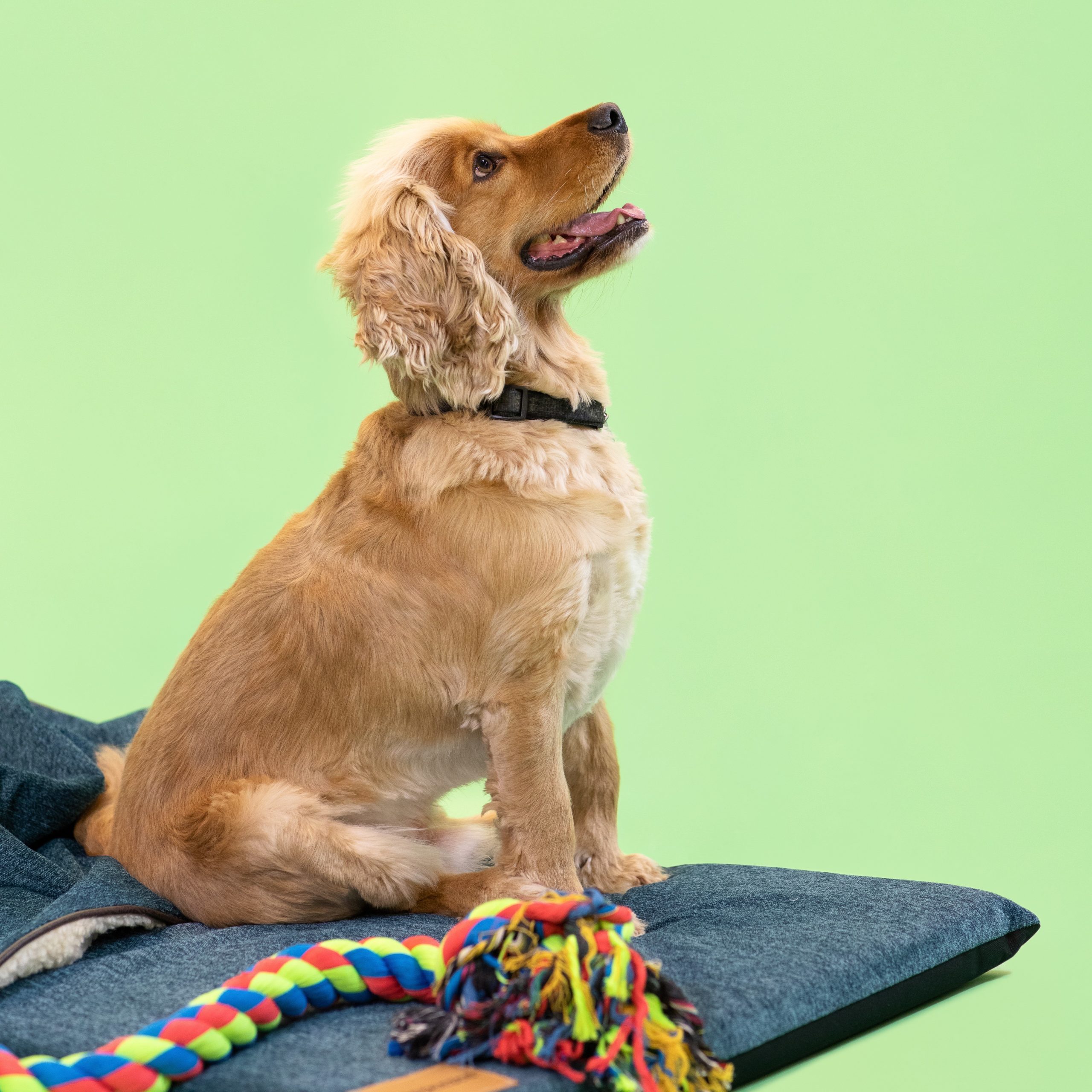 Travel Bed Cover - Image 2