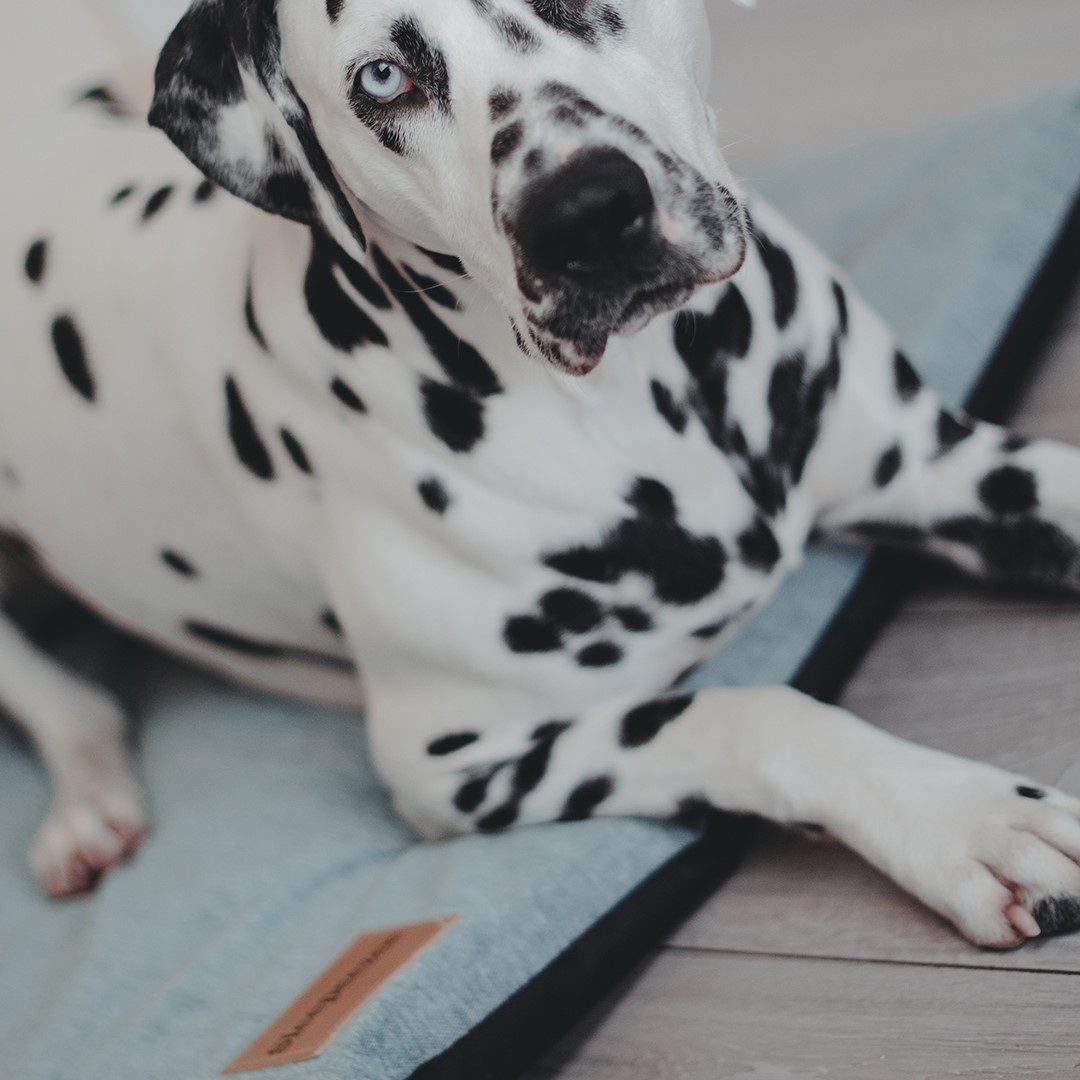 Travel Bed Cover - Image 3