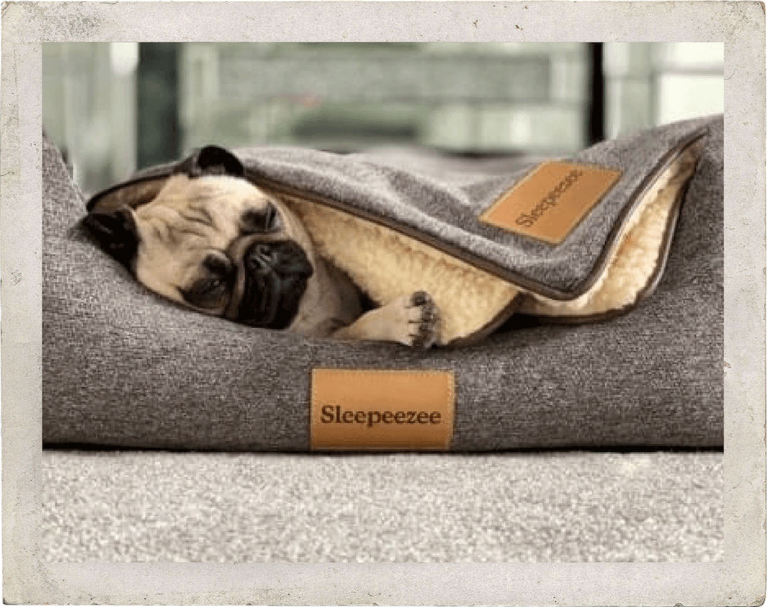 A pug sleeping in a Sleepeezee pet beg