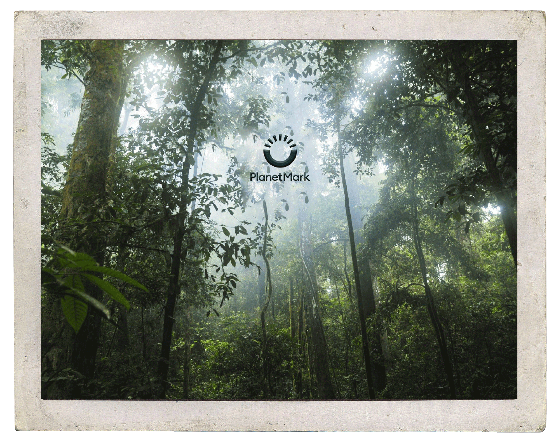 The Planetmark logo over a forest scene